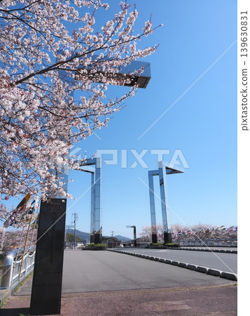 山口縣田布司町的「櫻花橋」櫻花盛開。 山口縣田布司町的「櫻花橋」櫻花盛開。 139630831
