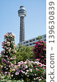 Rose Garden and Marine Tower at Yamashita Park in Yokohama Rose Garden and Marine Tower at Yamashita Park in Yokohama 139630839