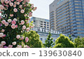 Yokohama Yamashita Park Rose Garden and Hotel New Grand Yokohama Yamashita Park Rose Garden and Hotel New Grand 139630840