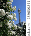 Rose Garden and Marine Tower at Yamashita Park in Yokohama Rose Garden and Marine Tower at Yamashita Park in Yokohama 139630841