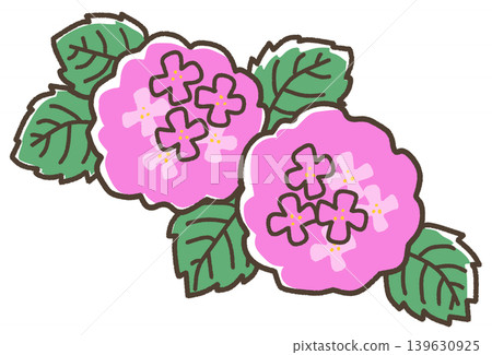 紫色繡球花 紫色繡球花 139630925
