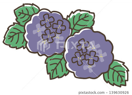 藍色繡球花 藍色繡球花 139630926