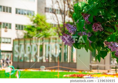 Sapporo Odori Park TV Tower Lilac Lilac Sapporo Odori Park TV Tower Lilac Lilac 139630935