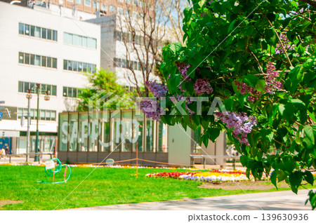Sapporo Odori Park TV Tower Lilac Lilac Sapporo Odori Park TV Tower Lilac Lilac 139630936