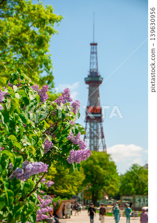 Sapporo Odori Park TV Tower Lilac Lilac Sapporo Odori Park TV Tower Lilac Lilac 139630956