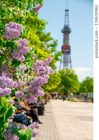 Sapporo Odori Park TV Tower Lilac Lilac Sapporo Odori Park TV Tower Lilac Lilac 139630962