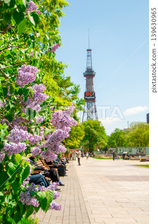 Sapporo Odori Park TV Tower Lilac Lilac Sapporo Odori Park TV Tower Lilac Lilac 139630965