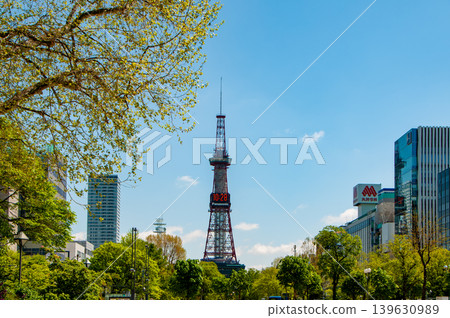 Sapporo Odori Park TV Tower Lilac Lilac Sapporo Odori Park TV Tower Lilac Lilac 139630989