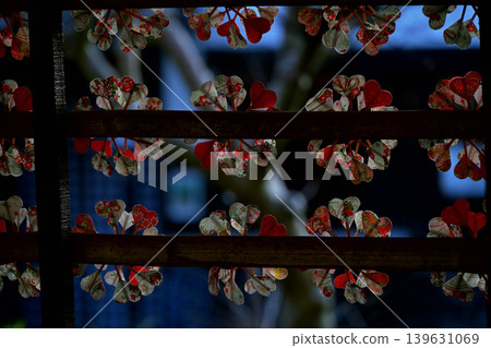 A travel-like feeling! A pinwheel made of bamboo, a specialty of Takehara City, Hiroshima. A travel-like feeling! A pinwheel made of bamboo, a specialty of Takehara City, Hiroshima. 139631069