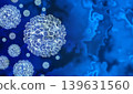 Hantavirus Virus Outbreak 139631560