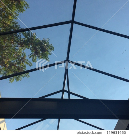 Blue sky and greenery seen through the skylights of a New York cafe 139631660