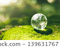 Crystal earth in forest Environment, save world, earth day and conservation and renewable energy concept. 139631767