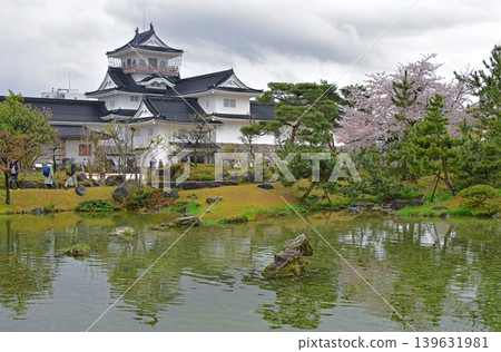 Cherry blossoms at Toyama Castle, Toyama Prefecture Cherry blossoms at Toyama Castle, Toyama Prefecture 139631981