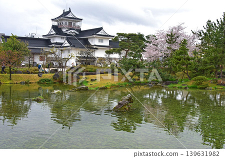 Cherry blossoms at Toyama Castle, Toyama Prefecture Cherry blossoms at Toyama Castle, Toyama Prefecture 139631982