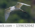 Flying Egret 139632042