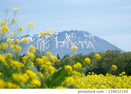 Image of spring in Koiwai, Iwate Prefecture Image of spring in Koiwai, Iwate Prefecture 139632148