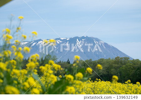 岩手縣小岩井市的春景 岩手縣小岩井市的春景 139632149