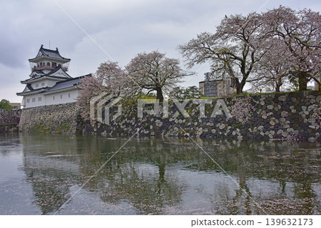 富山縣富山城的櫻花 富山縣富山城的櫻花 139632173