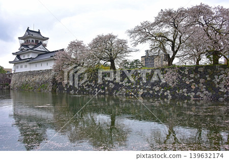 富山縣富山城的櫻花 富山縣富山城的櫻花 139632174