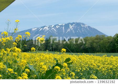 岩手縣小岩井市的春景 岩手縣小岩井市的春景 139632192