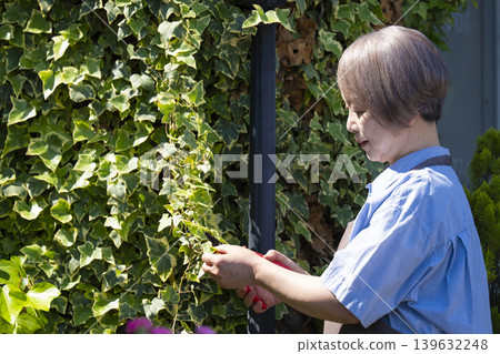 老年婦女們在自家院子裡享受園藝的樂趣 老年婦女們在自家院子裡享受園藝的樂趣 139632248