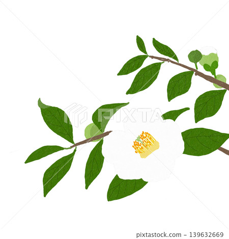 Sara's Flower 139632669