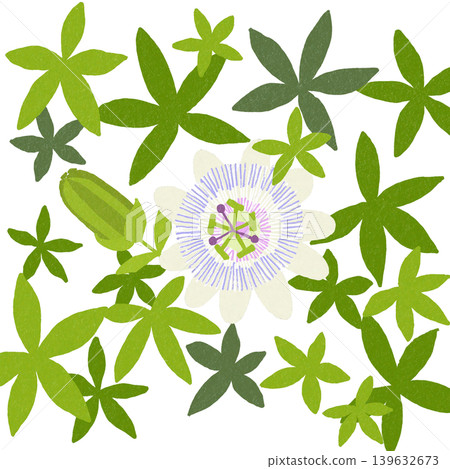 Simple floral background material: Passionflower Simple floral background material: Passionflower 139632673