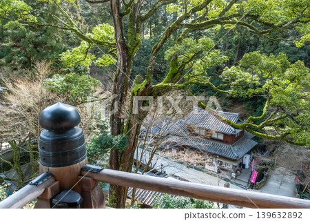 從昭寺圓教寺(兵庫縣姬路市)的摩尼殿舞台上可以看到參天大樹和寺廟建築。 從昭寺圓教寺(兵庫縣姬路市)的摩尼殿舞台上可以看到參天大樹和寺廟建築。 139632892