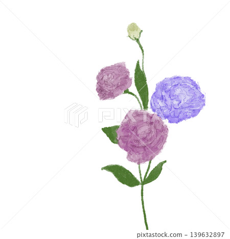 花卉插圖：土耳其風鈴草 139632897