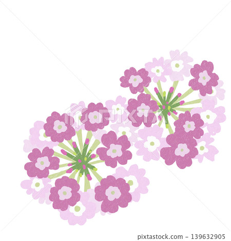 Flower illustration: Verbena Flower illustration: Verbena 139632905