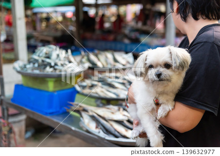Small white dog being carried at fresh fish market with seafood stalls and urban local shopping atmosphere in outdoor marketplace setting Small white dog being carried at fresh fish market with seafood stalls and urban local shopping atmosphere in outdoor marketplace setting 139632977