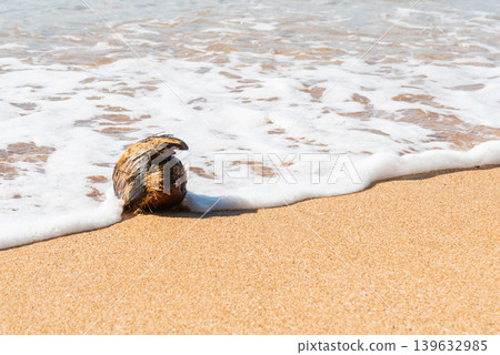 Coconut resting on sandy beach with sea foam and gentle waves creating tropical summer travel and natural coastal atmosphere under sunlight 139632985