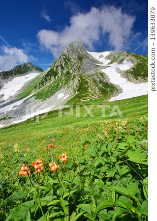 Summer in the Tateyama mountain range, where flowers bloom in profusion. Summer in the Tateyama mountain range, where flowers bloom in profusion. 139633079