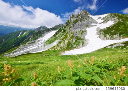 Summer in the Tateyama mountain range, where flowers bloom in profusion. Summer in the Tateyama mountain range, where flowers bloom in profusion. 139633080