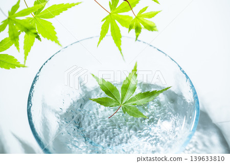 漂浮在水面上的藍楓 漂浮在水面上的藍楓 139633810