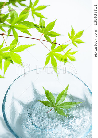 漂浮在水面上的藍楓 139633811