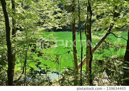 Ryugakubo, Tsunan Town 139634405