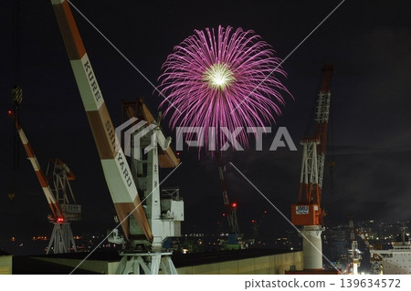 吳市海上煙火節:鶴與煙火 吳市海上煙火節:鶴與煙火 139634572