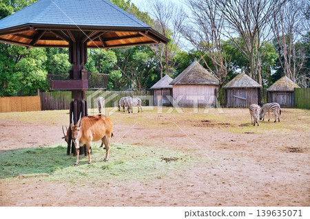 Scenery of Tobu Zoo Scenery of Tobu Zoo 139635071
