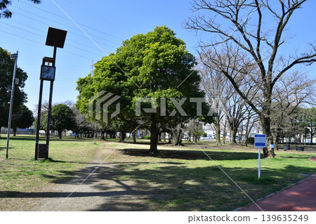 Kawaguchi City Mitsuwa Park_Walking Course_03 139635249