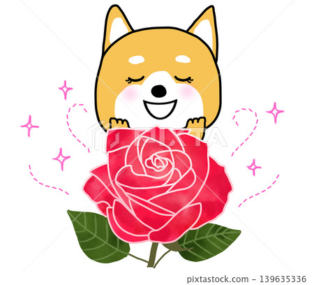 柴犬被玫瑰的芬芳深深吸引。 柴犬被玫瑰的芬芳深深吸引。 139635336