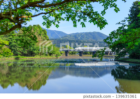 東海道新幹線飛馳而過,白色的車身倒映在辻池中,池中自然生長著睡蓮(第 3 部分)。 東海道新幹線飛馳而過,白色的車身倒映在辻池中,池中自然生長著睡蓮(第 3 部分)。 139635361