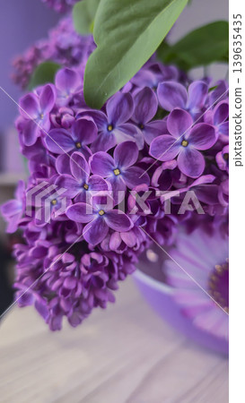 A bouquet of blooming lilacs with green leaves in a round glass vase A bouquet of blooming lilacs with green leaves in a round glass vase 139635435