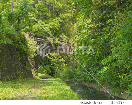 Torsion bridge 139635733