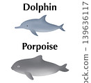 Educational infographic comparing a dolphin and a porpoise. Side view illustration showing the physical differences in body shape, snout, and dorsal fin between the two marine mammals 139636117