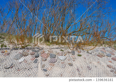 Coastal dune erosion control with wire mesh and stones protecting sandy shoreline vegetation Coastal dune erosion control with wire mesh and stones protecting sandy shoreline vegetation 139636181