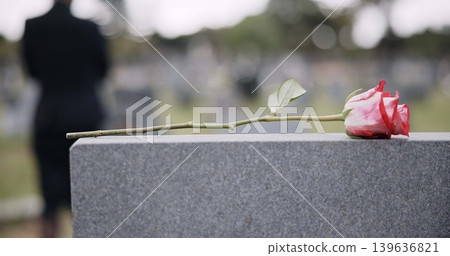 Funeral, cemetery and hands with rose on tombstone for remembrance, ceremony and memorial service. Depression, sadness and person with flower on gravestone for mourning, grief and loss in graveyard 139636821