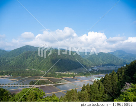 Summer scenery of the terraced rice fields and ponds of Torigoe Summer scenery of the terraced rice fields and ponds of Torigoe 139636892