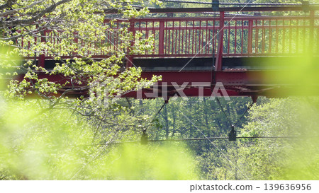 二見吊橋位於定山溪溫泉二見定山的道路上。 二見吊橋位於定山溪溫泉二見定山的道路上。 139636956