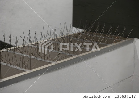 Metal bird spikes mounted on a building ledge, providing a humane deterrent solution to prevent pigeons and other pests from landing or nesting on architectural structures and urban surfaces Metal bird spikes mounted on a building ledge, providing a humane deterrent solution to prevent pigeons and other pests from landing or nesting on architectural structures and urban surfaces 139637118